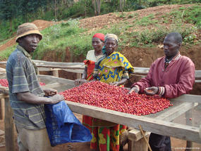 Project Burundi